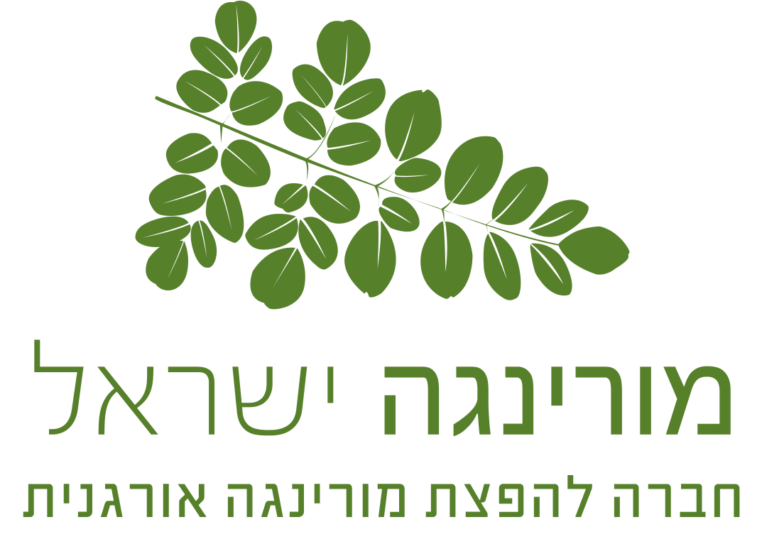 מורינגה ישראל